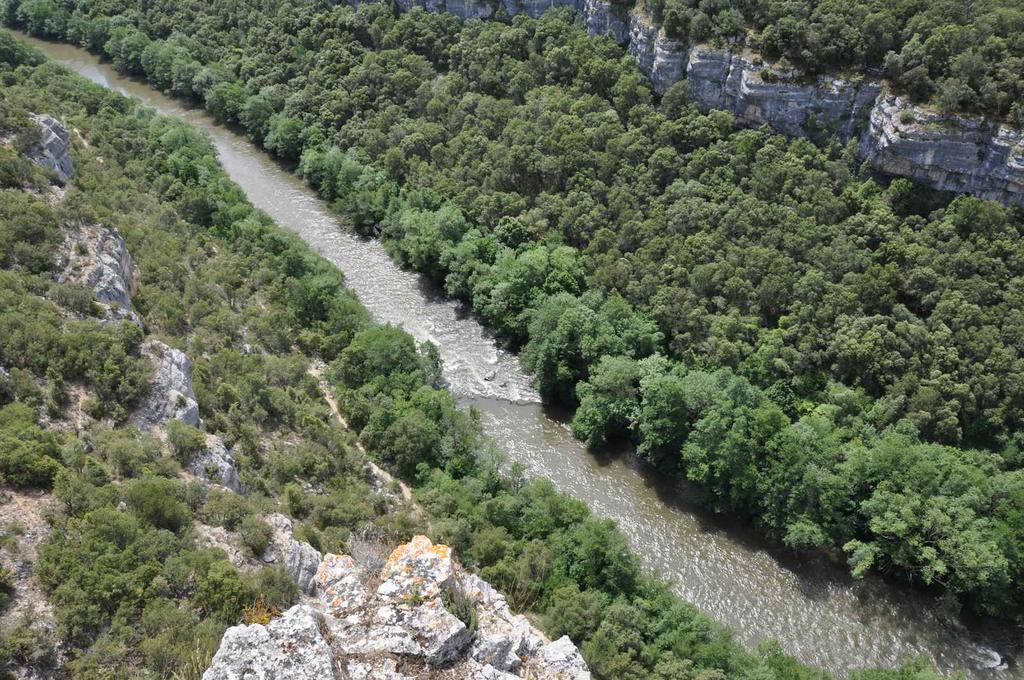 El Abrigano Del Canon Pesquera de Ebro Extérieur photo